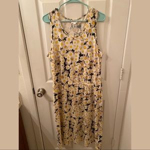 Lularoe 2x daisy dress